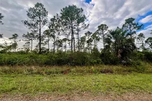 467 Hanscom St, Port Charlotte, FL 33953 - Photo 1