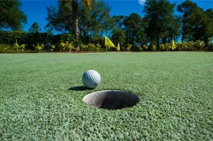 1352 Raspberry Dr, North Port, FL 34289 - Photo 87