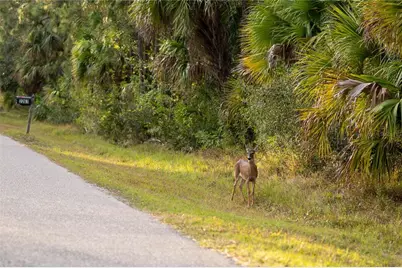Kamsler Avenue, North Port, FL 34286 - Photo 53