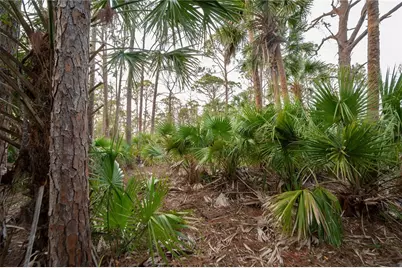 Kamsler Avenue, North Port, FL 34286 - Photo 53