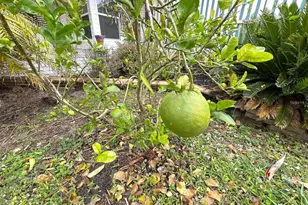 6642 Acacia Ct, North Port, FL 34287 - Photo 63