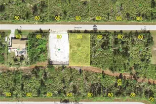 12419 Evelyn Ave, Port Charlotte, FL 33981 - Photo 1