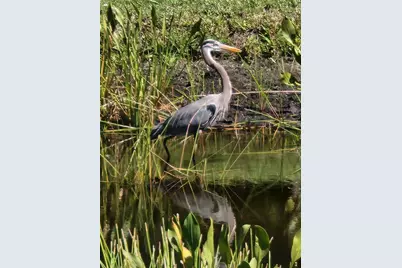 2060 Willow Hammock Circle #201, Punta Gorda, FL 33983 - Photo 61