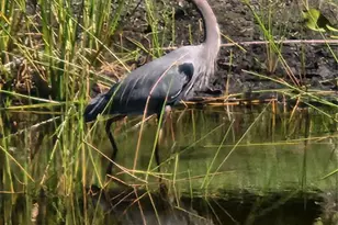 2060 Willow Hammock Cir, Punta Gorda, FL 33983 - Photo 61