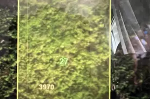 12801 Xavier Ave, Port Charlotte, FL 33981 - Photo 1