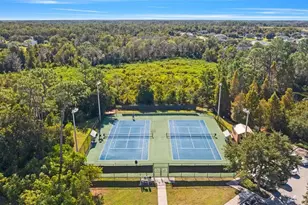 4352 English Turn Way, Wesley Chapel, FL 33543 - Photo 53