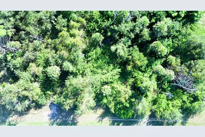 199 Cougar Way, Rotonda West, FL 33947 - Photo 3