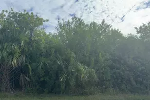 7034 Kaler St, Port Charlotte, FL 33981 - Photo 1