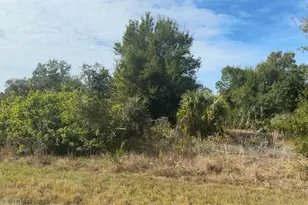 7219 Freeberg Cir, Port Charlotte, FL 33981 - Photo 1