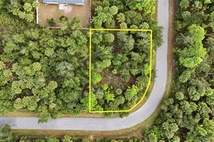 Rayfield Dr, North Port, FL 34291 - Photo 1