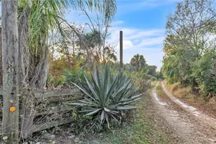 8056 SW Horse Creek Rd, Arcadia, FL 34266 - Photo 5