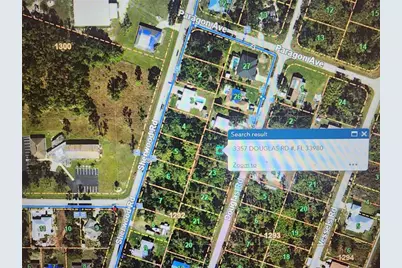 3357 Douglas Road, Punta Gorda, FL 33980 - Photo 3