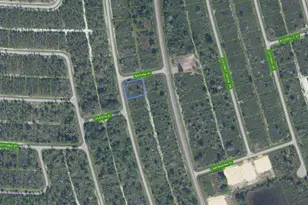 7001 Saquna St, Sebring, FL 33872 - Photo 1