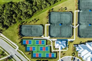 14033 Black Beauty Dr, Punta Gorda, FL 33955 - Photo 59