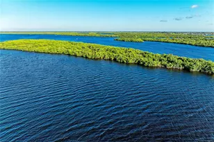 3564 Peace River Dr, Punta Gorda, FL 33983 - Photo 69