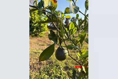 2750 Abbotsford Street, North Port, FL 34287 - Photo 41