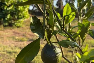 2750 Abbotsford St, North Port, FL 34287 - Photo 41