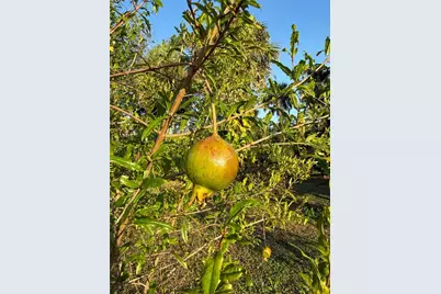 2750 Abbotsford Street, North Port, FL 34287 - Photo 43