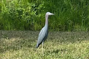 12424 Grouse Ave, Port Charlotte, FL 33981 - Photo 39