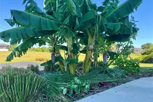 146 Boundary Blvd, Rotonda West, FL 33947 - Photo 33