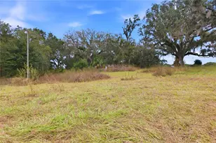 1841 St Rd 66, Zolfo Springs, FL 33890 - Photo 33