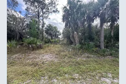 26129 Flower Road, Punta Gorda, FL 33955 - Photo 1