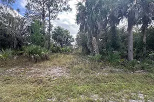 26129 Flower Rd, Punta Gorda, FL 33955 - Photo 1