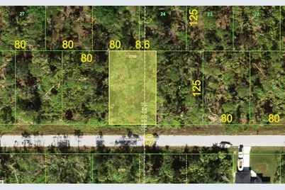 11998 Coleman Avenue, Port Charlotte, FL 33981 - Photo 1