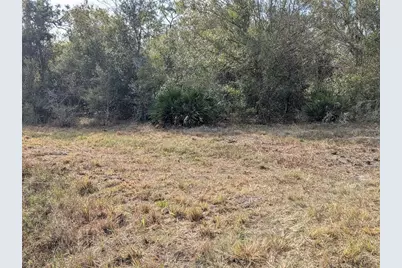 4508 SE Wheat Avenue, Arcadia, FL 34266 - Photo 35