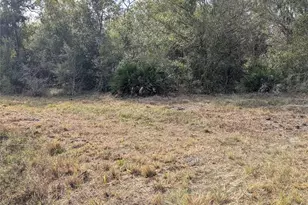 4508 SE Wheat Ave, Arcadia, FL 34266 - Photo 35