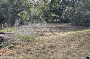 4508 SE Wheat Ave, Arcadia, FL 34266 - Photo 39