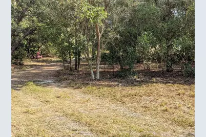 4508 SE Wheat Avenue, Arcadia, FL 34266 - Photo 31