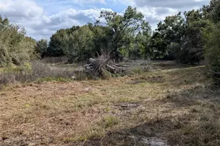 4508 SE Wheat Ave, Arcadia, FL 34266 - Photo 41