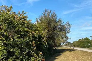 Lot 19 Embassy Rd, North Port, FL 34291 - Photo 1