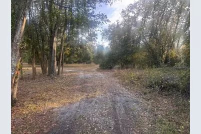 3960 NW Bachtold Drive, Arcadia, FL 34266 - Photo 3