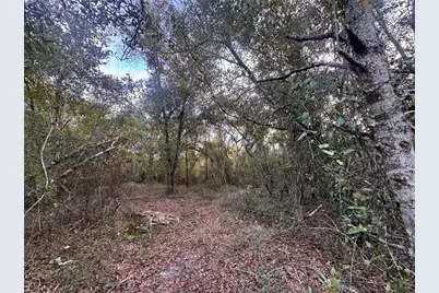 3960 NW Bachtold Drive, Arcadia, FL 34266 - Photo 9