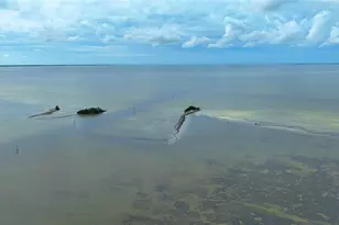 3321 Sunset Key Cir, Punta Gorda, FL 33955 - Photo 39