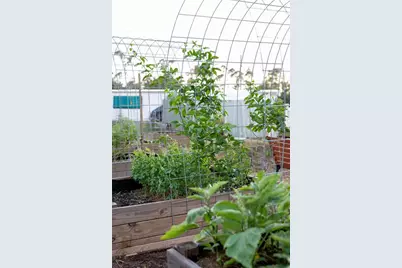 5516 Maze Drive, Punta Gorda, FL 33982 - Photo 49