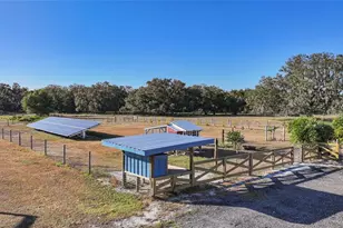 3321 SW Martin Ln, Arcadia, FL 34266 - Photo 65