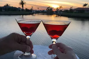 2921 Guadalupe Dr, Punta Gorda, FL 33950 - Photo 51