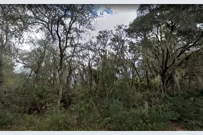 1004 Bowman Terrace, Port Charlotte, FL 33953 - Photo 3