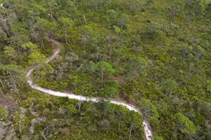 1845 Edison Dr, Englewood, FL 34224 - Photo 53