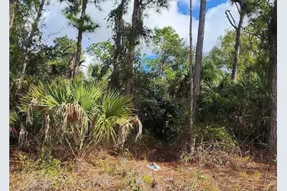 Ananas Road, North Port, FL 34288 - Photo 1