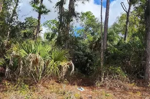 Ananas Rd, North Port, FL 34288 - Photo 1