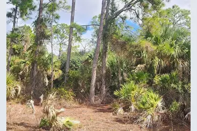 Ananas Road, North Port, FL 34288 - Photo 7