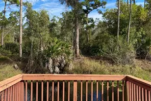 11176 Grapefruit Ln, Punta Gorda, FL 33955 - Photo 3