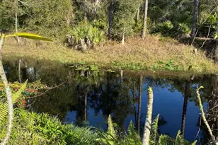 11176 Grapefruit Ln, Punta Gorda, FL 33955 - Photo 25