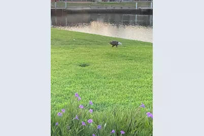 1109 Appian Drive, Punta Gorda, FL 33950 - Photo 39