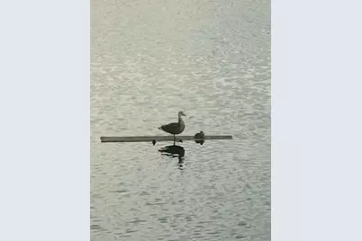 1109 Appian Drive, Punta Gorda, FL 33950 - Photo 39