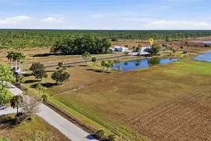 29527 Leah Rd, Punta Gorda, FL 33982 - Photo 61